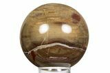 Colorful Petrified Wood (Araucaria) Sphere - Madagascar #323598-1